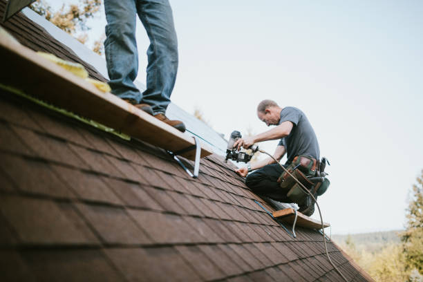 Best Roof Insulation Installation  in Endicott, NY